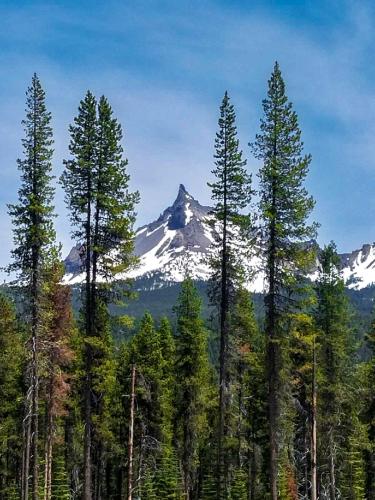 Flagstaff San Francisco peak