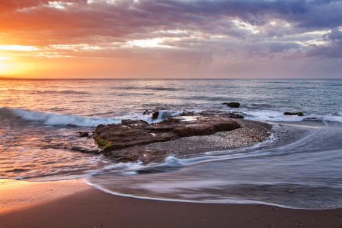 Seashore, La Jolla, California 4